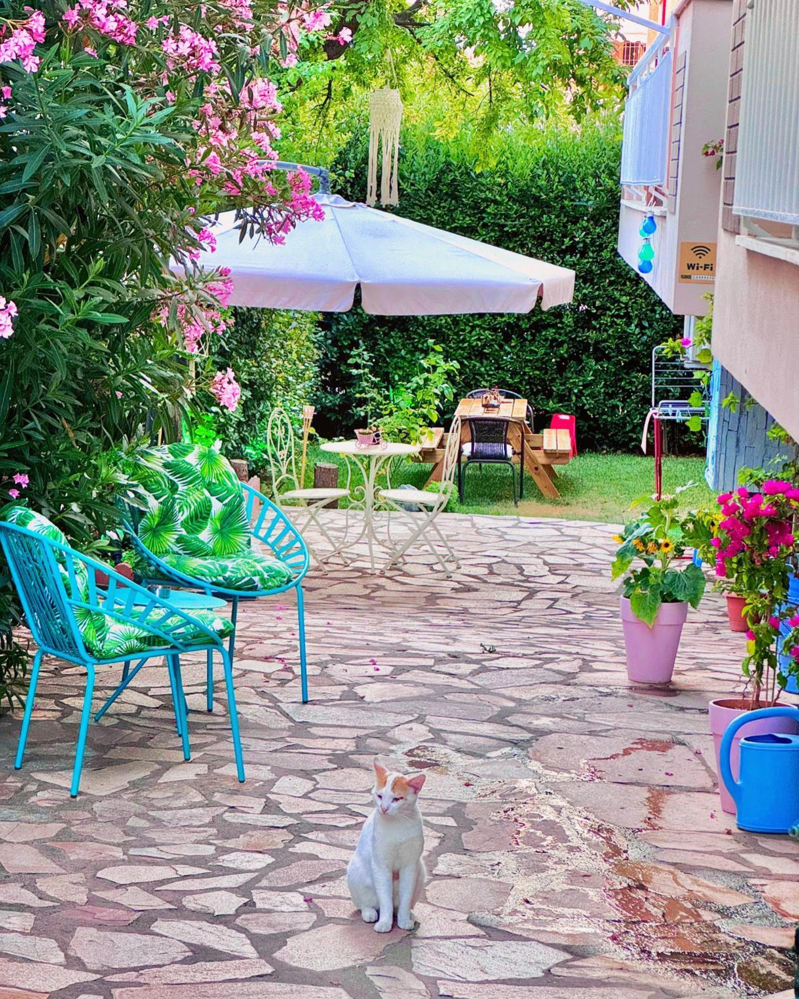 Διαμέρισμα Amalia House